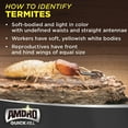 Amdro Quick Kill Carpenter Bee, Carpenter Ant & Termite Killer Foam; 18 oz.