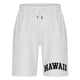 thumbnail image 2 of WILLBEST Pantalones Cortos Deportivos para Hombre, Pantalones Cortos Estampados de Resort, Pantalones de Playa con Cintura Elástica y Cordón Ajustable, 2 of 4