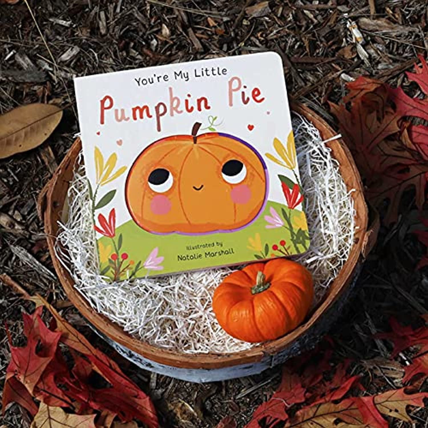 Wood Ornament~Mini Picture Holder Frame Sign~"My Lil' Pumpkin"~Harvest/Halloween 