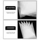 thumbnail image 5 of Cake Baking Supplies Piping Bags Disposable Design For Cupcakes And Cakes 100Set, 5 of 5
