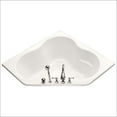 thumbnail image 1 of Kohler ProFlex 54 x 54 Corner Bath Tub, 1 of 1