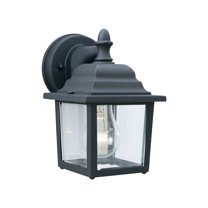 Thomas Lighting Hawthorne 1-Light Outdoor Wall Lantern