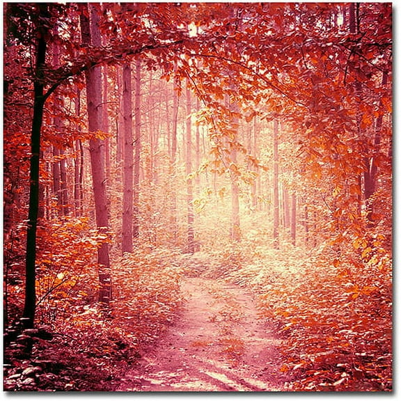 Trademark Fine Art Beata Czyzowska Young Enchanted Forest Canvas Wall Art - 18x18