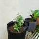 thumbnail image 3 of Macetas de Tela Gris Resistente, Bolsas para Cultivo de Vegetales/Flores/Plantas, Macetas de Tela No Tejida Espesa con Asas (5 Galones), 3 of 5