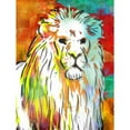 thumbnail image 3 of OnRei 15x18 Black Modern Framed Museum Art Print Titled - Vibrant Lion, 3 of 5
