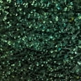 thumbnail image 2 of Sequins Stretch Velvet, 2 of 2
