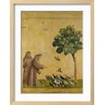 thumbnail image 2 of St. Francis of Assisi Preaching to the Birds, Animals Religion Framed Art Print Wall Art by Giotto di Bondone Sold by Art.Com, 2 of 6