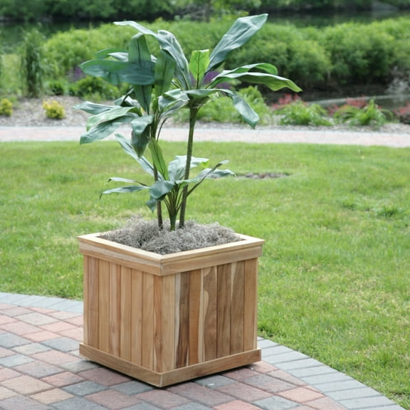Square Teak Wood Shadow Tree Box - Set of 2