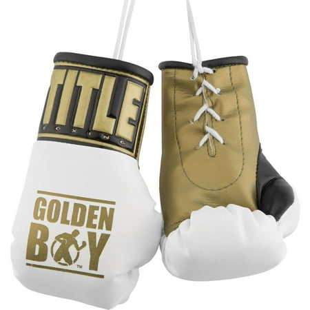 Title Boxing 5