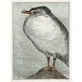 thumbnail image 2 of Hoytema, Theo van 15x18 White Modern Wood Framed Museum Art Print Titled - Herring Gull, 2 of 4