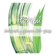 thumbnail image 4 of Crema para peinar Garnier Fructis rizos elásticos 48h cabello rizado u ondulado 300 ml, 4 of 4