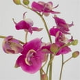 thumbnail image 4 of Uttermost Glory Orchid Contemporary Glass/Plastic Plant in Clear/Pink, 4 of 4
