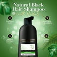 thumbnail image 2 of Biogreen Roots Shampoo 200ml - Natural Black Hair Color Shampoo with Herbals - Covers Gray Hair for Men and Women - Clinically Tested Natural Hair Color Shampoo for All Hair Types, 2 of 3