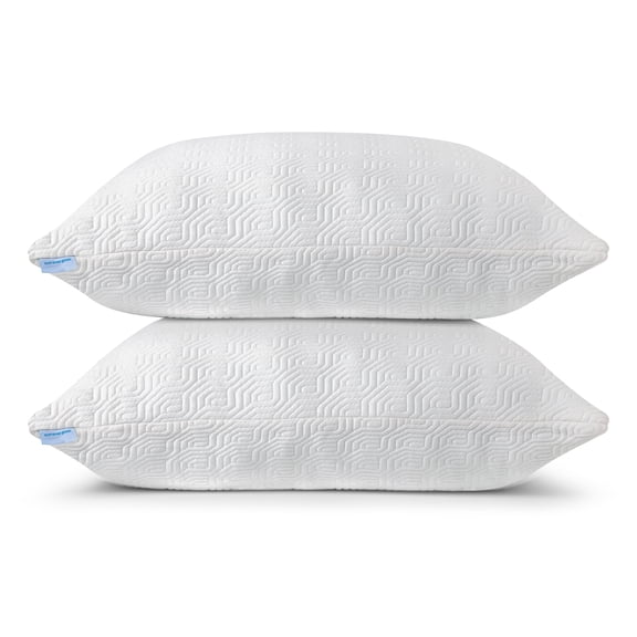 Queen Size Bamboo Pillow, Memory Foam Bed Pillows with Washable Pillowcases, Queen (1 Pack)