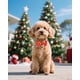 thumbnail image 5 of Paquete de 10 pajaritas para perros PET SHOW, Navidad, pequeñas, 9 x 5 cm, 5 of 7