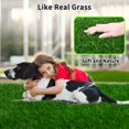 thumbnail image 4 of Almohadilla de césped para perros PICK FOR LIFE, 100 x 80 cm, absorbente, 4 of 6