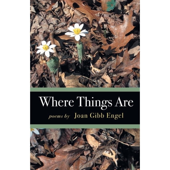 Where Things Are, (Paperback)