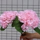 thumbnail image 3 of Simulated Large Embroidered Ball With Realistic And Moisturizing Touched Artificial Wedding Floral Decoration-wedding Artificial Flowers, 3 of 4
