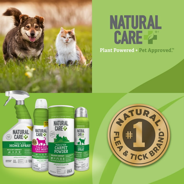 Natural cure for fleas on dogs 2025