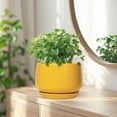thumbnail image 6 of Ordivic 7 inch Yellow Ceramic Plant Pot with Drainage Hole & Saucer, Medium Indoor Outdoor Planter for Snake Plant, Pothos, Small ZZ Plant,Porch,Desk, 6 of 7