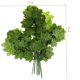 thumbnail image 1 of 12 juegos de de hojas de arce artificiales para bodas, decoraciones navideñas o fiestas de Navidad Soledad Artificial Vivid Maple Leafs, 1 of 10