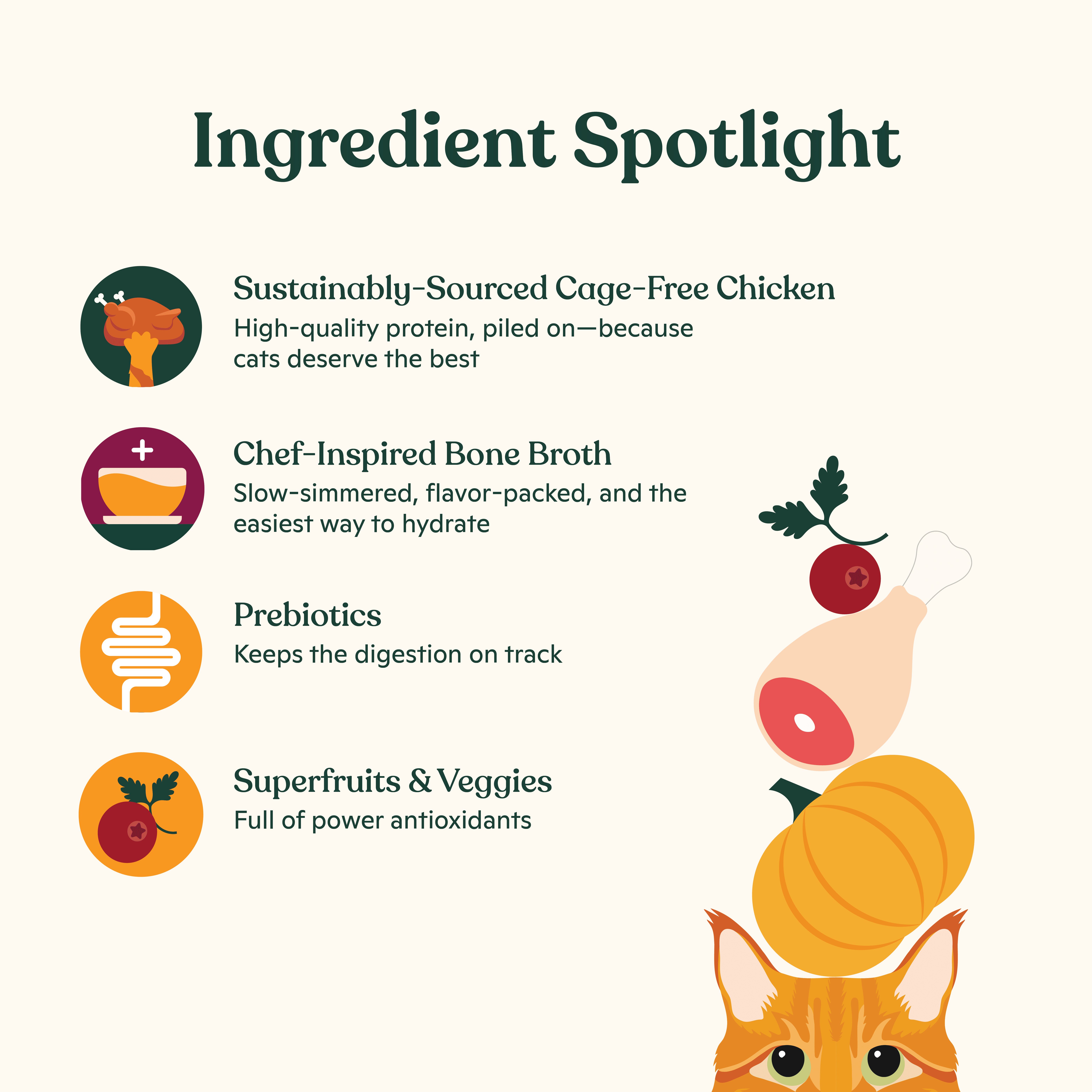 Made by Nacho Dry Cat Kibble, Infused with Bone Broth for Hydration, Sustainably Caught Salmon and Pumpkin, High Protein and Grain-Friendly Premium Cat Food, Limited Ingredients, 7.5lb Bag