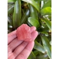 thumbnail image 5 of Strawberry Calcite, 1-2" Rough Natural Strawberry Calcite Stones, 5 of 11