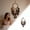Clear, variant on The Walls Of The Girls' Room Are Decorated With Dream Catchers And Feathers. Birthday Are Hung In The Living Room And Dormitory Glass Eggs Decorative Ornament Hooks Clear Beads for Chandelier Glass