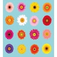thumbnail image 2 of Juego de Funda Nórdica Daisy, Flores de Varios Pétalos Vibrantes Patrón Floral,, 2 of 6