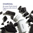 thumbnail image 3 of Desodorante Native Charcoal Natural para hombre sin aluminio, 3 of 5
