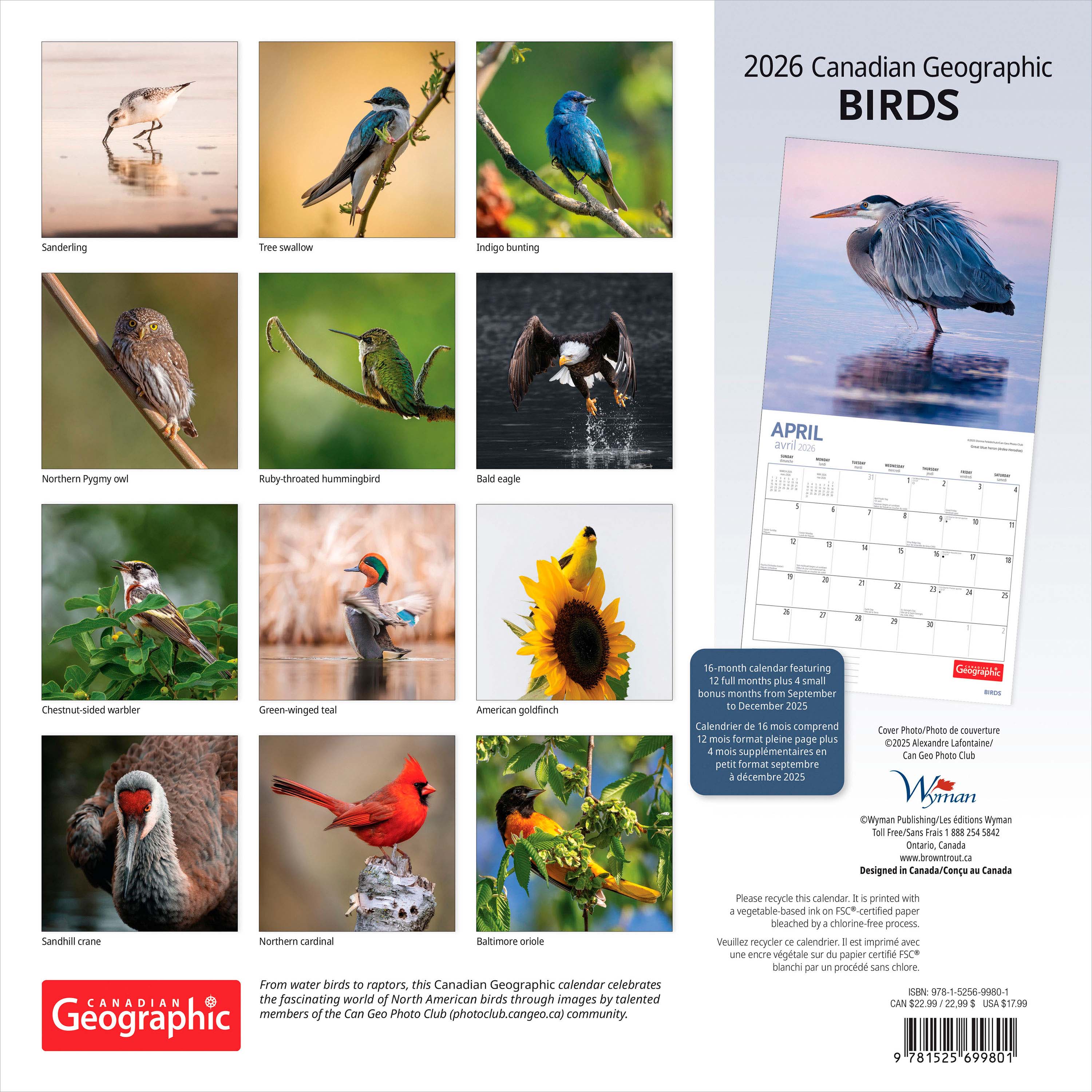 Canadian Geographic Birds 2026 Square Wyman FOIL