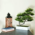 thumbnail image 5 of Northlight 1.5' Unlit Artificial Japanese Bonsai Tree in a Planter Box, 5 of 6