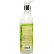 ORS Olive Oil For Naturals Sulfate Free Shampoo