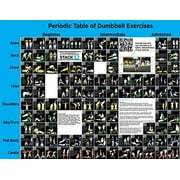 Dumbbell Exercise Poster (Large): Periodic Table of Dumbbell Exercises by Stack 52. Video Instructions Included. For Training with Adjustable Free Weight Sets & Home Gym Fitness Full Body Workouts.