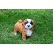Michael Carr Designs Diva - Lhasa Apsa, Small