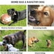 thumbnail image 4 of Bozales transpirables para perros pequeños y medianos, que evitan que muerdan, ladren y mastiquen, ideales para perros agresivos, 4 of 7