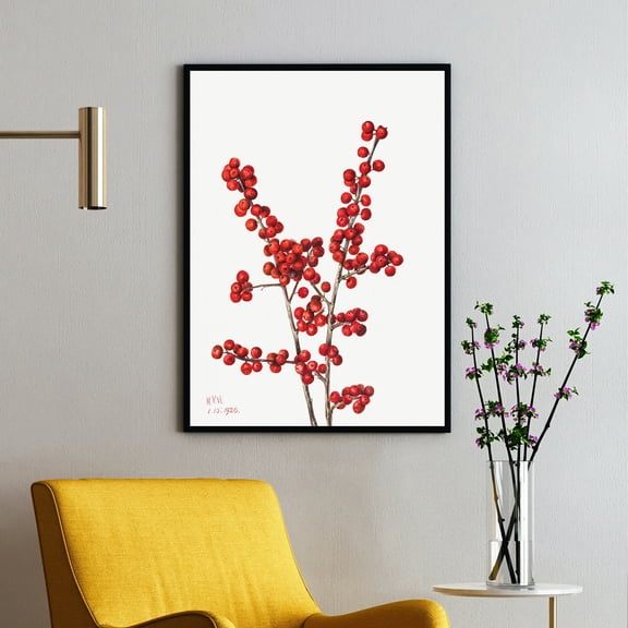 Winterberry - Ilex verticillata - 1920 | Mary Vaux Walcott | Premium Fine Art Print | 19th Century American | Botany Art | Botanical | Plant Art | Nature Art