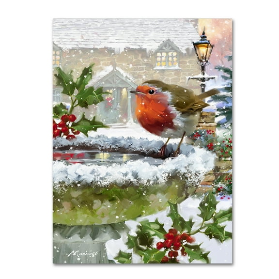 Trademark Fine Art 'Robin On Birdbath' Canvas Art by The Macneil Studio