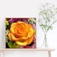 thumbnail image 3 of Cuadros Decorativos 5D diamante pintura rosas flor completo cuadrado taladro mosaico DIY diamantes de imitación artes DQrwqpou Nuevos Originales, 3 of 9