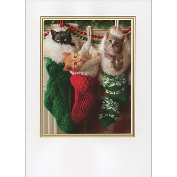 Avanti Press Kittens In Christmas Stockings Inside Gold Lined White Frame Embellished Christmas Card
