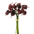 thumbnail image 1 of Bundle de Lys de Calla de 14 Po Bordeaux, 1 of 1