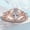 Rose Gold, variant on Zircon And Diamond Rose Gold Ring For Women Crown Setting Elegant Jewelry Timeless Sparkle For Everyday Ladies
