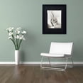 thumbnail image 3 of Trademark Fine Art "Florison 22" Canvas Art by Alan Blaustein, Black Matte, Black Frame, 3 of 4