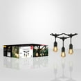 thumbnail image 3 of Xtricity - Outdoor LED String Lights, Waterproof, 24 Feet Long, 2200K Soft White, 3 of 4