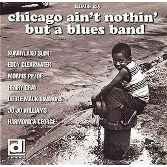 Various Artists - Chicago Ain't Nothin But a Blues Band / Various - Music & Performance - CD