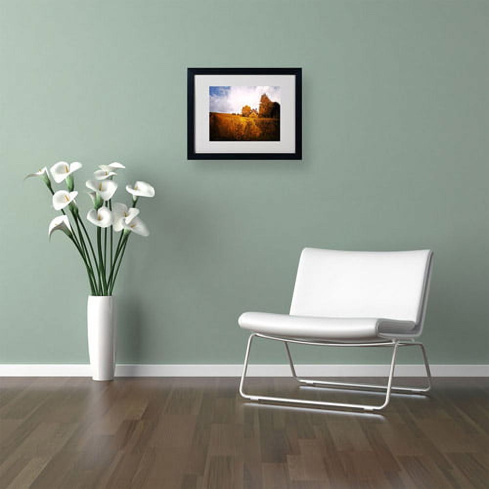 Trademark Fine Art "Light in Vineyards" Canvas Art by Philippe Sainte-Laudy, Black Frame