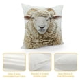 thumbnail image 4 of JEUXUS Sylvie Sheep Bangs Portrait Short Plush Pillowcase Soft and Durable White, 4 of 5