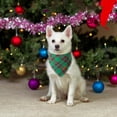 thumbnail image 3 of Juego de pañuelos navideños para perros ADOGGYGO, tamaño pequeño, rojo y verde, 3 of 6