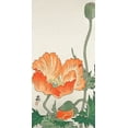 thumbnail image 2 of Koson, Ohara 9x14 Black Ornate Wood Framed with Double Matting Museum Art Print Titled - Orange Poppy, 2 of 4