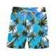 thumbnail image 5 of Pantalones Cortos para Hombre Atléticos Pantalones de Playa de Impresión Especial, Pantalones Cortos Atléticos de Poliéster Elásticos para Hombres, 5 of 6